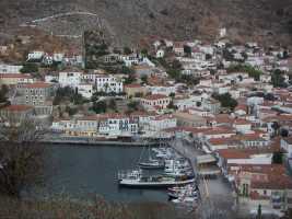 Hydra
